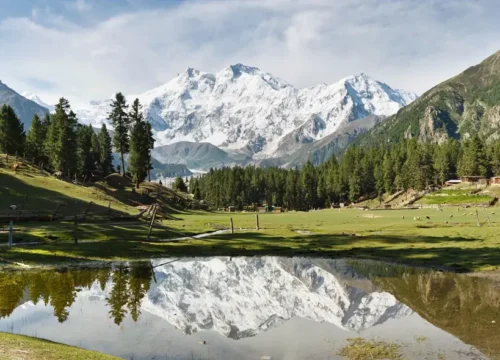 Fairy Meadows